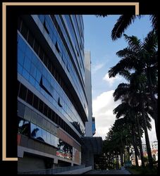 WCEGA Plaza (D23), Factory #471617951